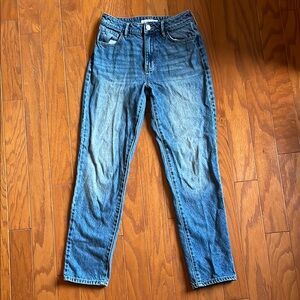 PacSun Denim Blue Jeans Mom Jean Fit